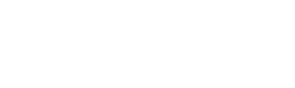 Magnnova Logo